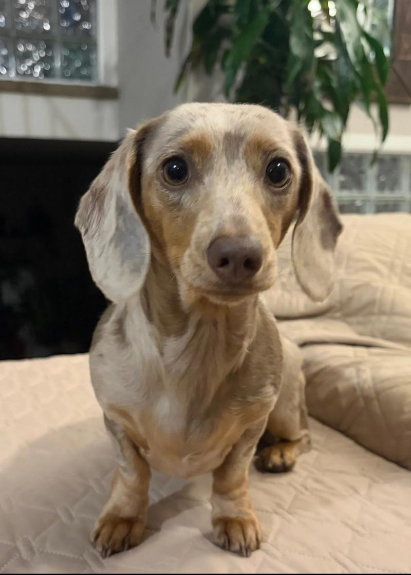Missy — photo 2