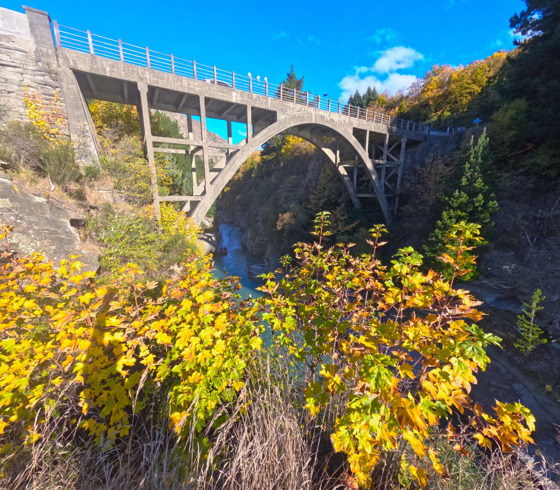 Edith Cavell Bridge above the Shotover River, with golden foliage and dramatic cliffs.