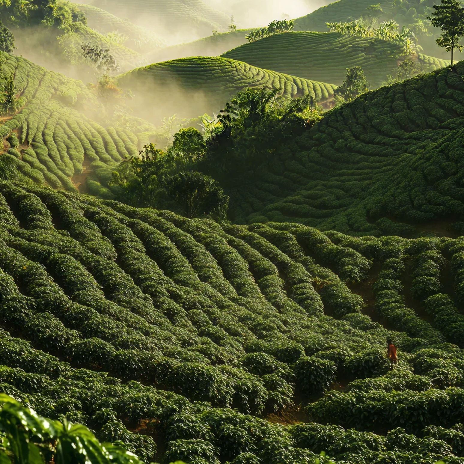 People, planet, and profit.