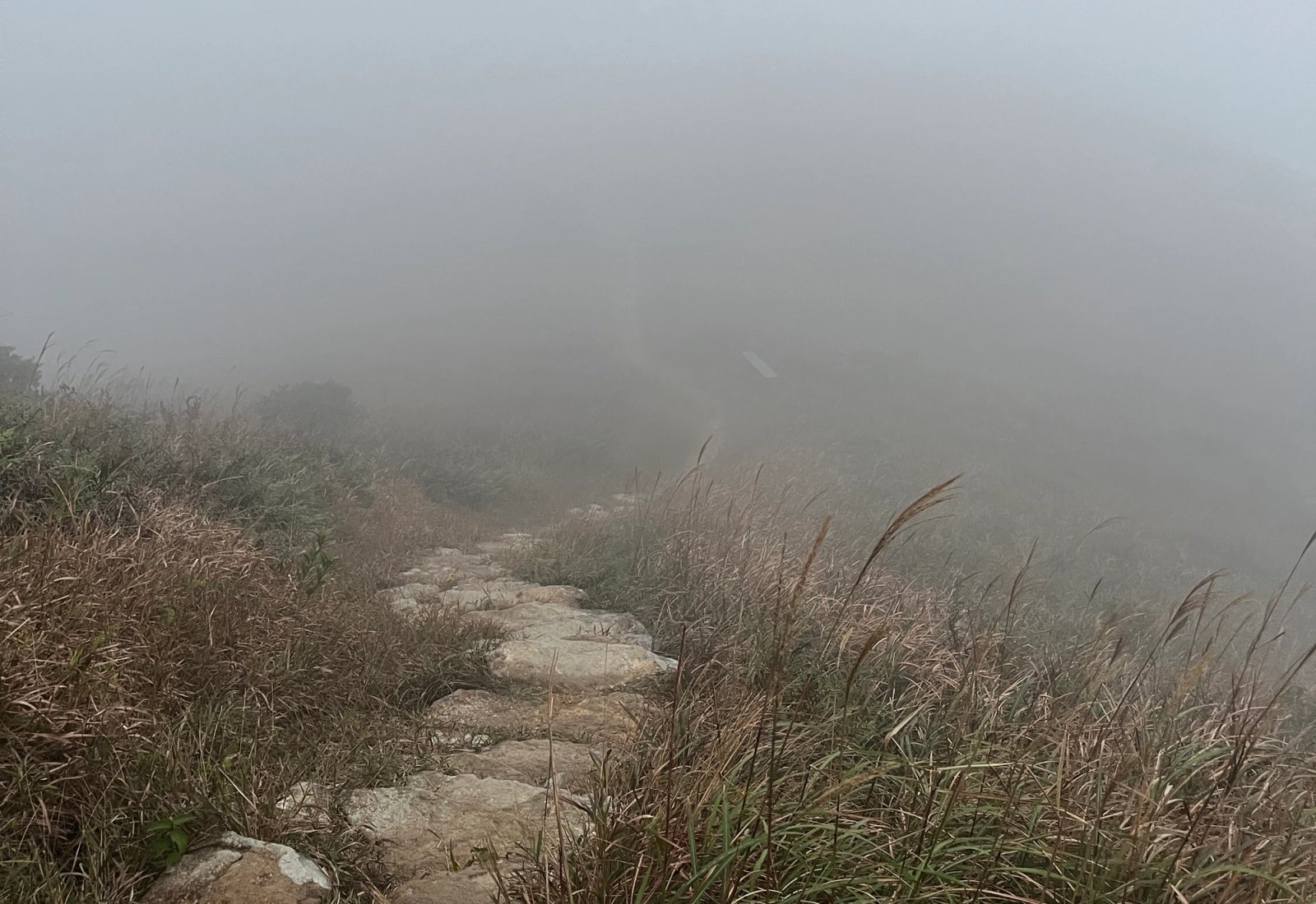 快速聚拢的雾气