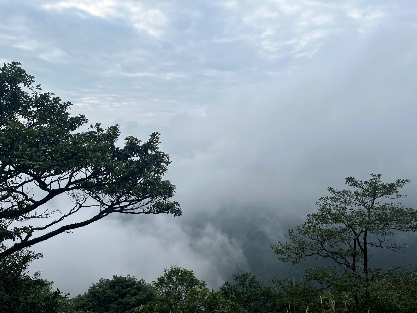 雾气朦胧