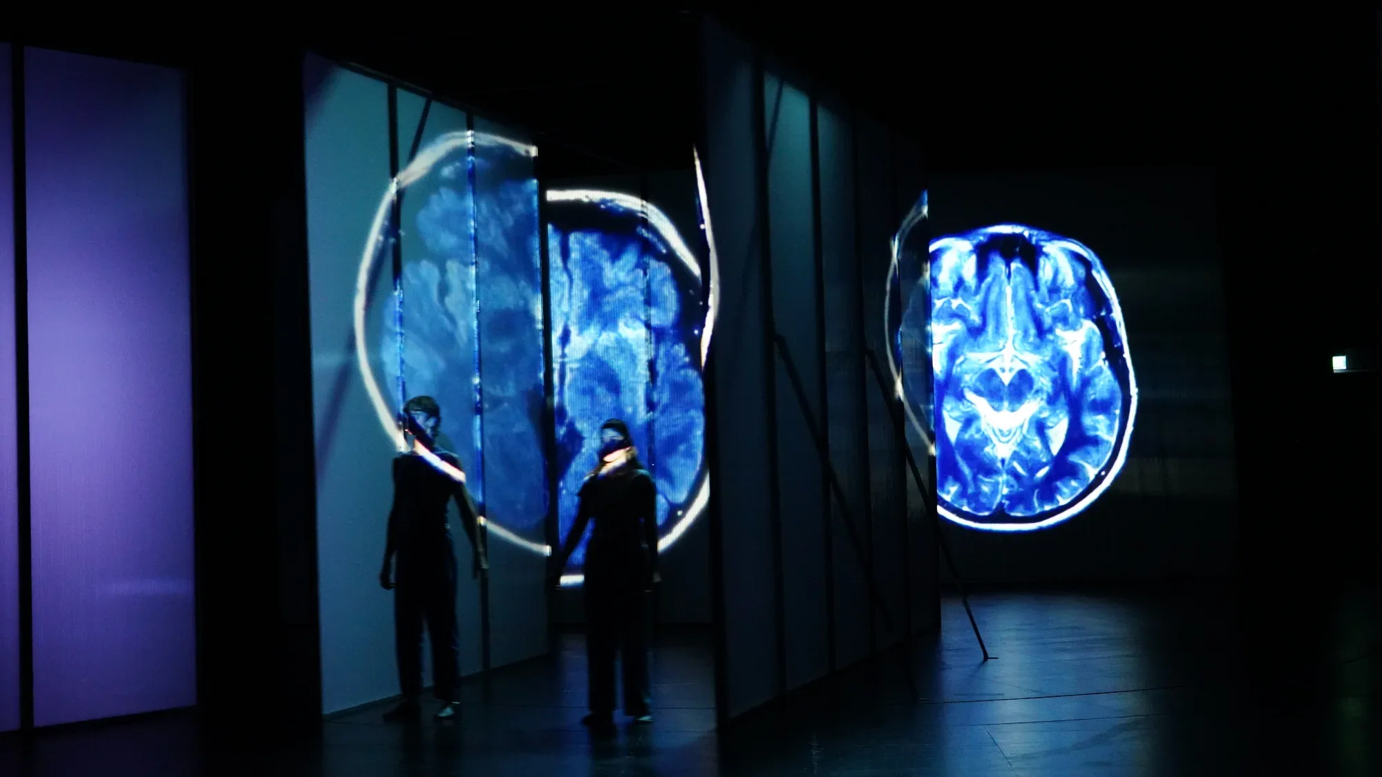 Brain scans projected onto the walls.