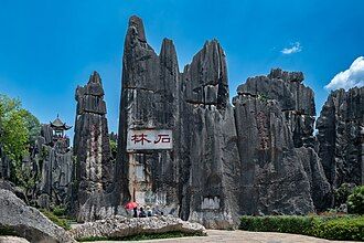 Stone Forest Stone Forest