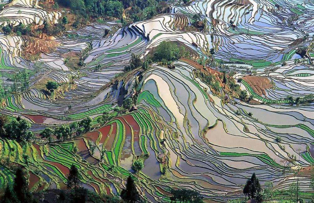 Hani Rice Terraces Hani Rice Terraces