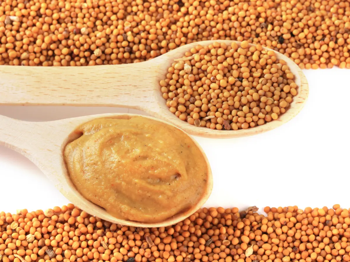 Two wooden spoons on a white background, one with whole yellow mustard seeds and one with prepared mustard, showcasing product variety.
