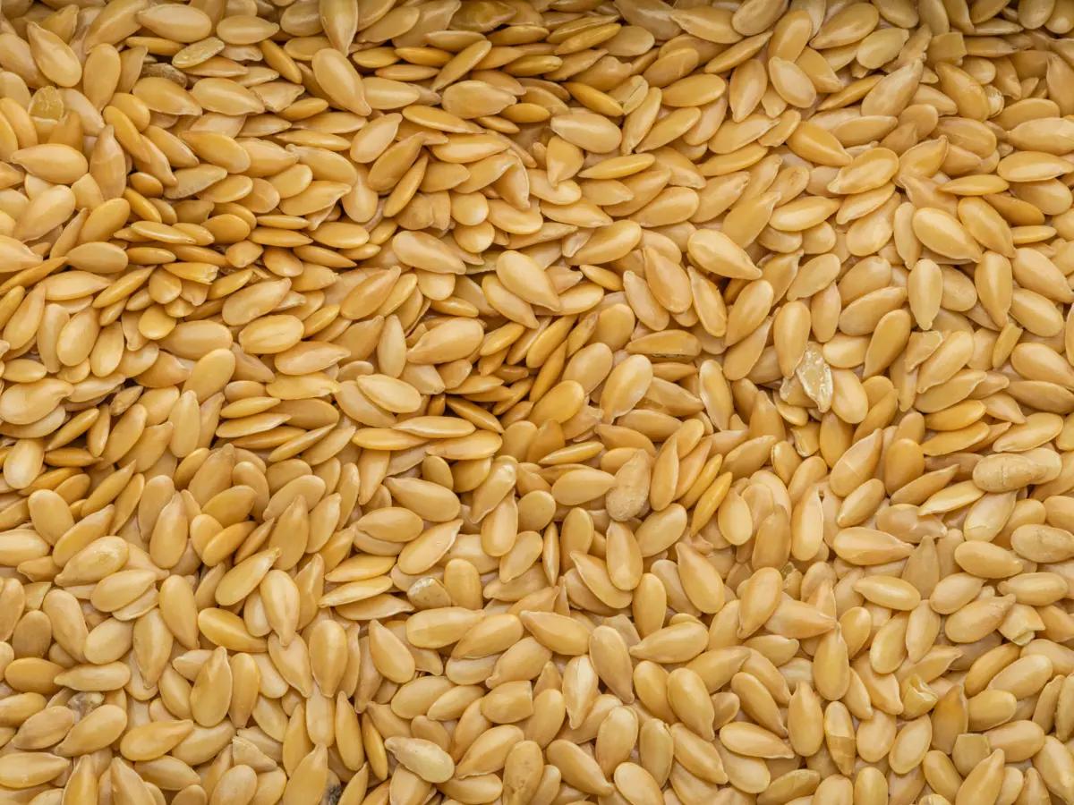 A close-up of clean, golden flax seeds, showcasing their bright color and smooth, shiny surface.