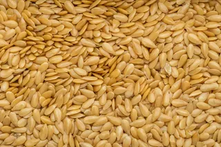 Yellow Flax Seeds