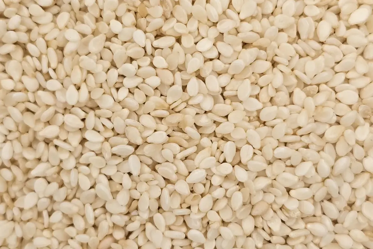 Close-up van een grote hoop gepelde sesamzaadjes, klein en ovaal van vorm, gebroken wit van kleur en dicht op elkaar gepakt.