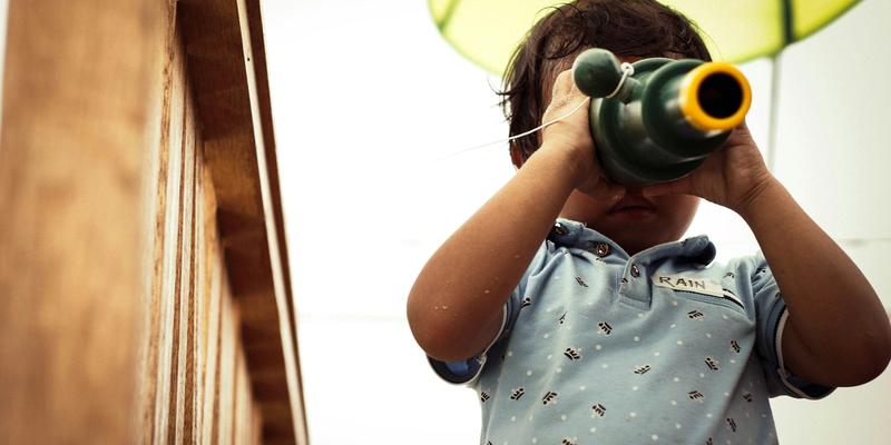 Disguised Compliance and Professional Curiosity in Family Assessment