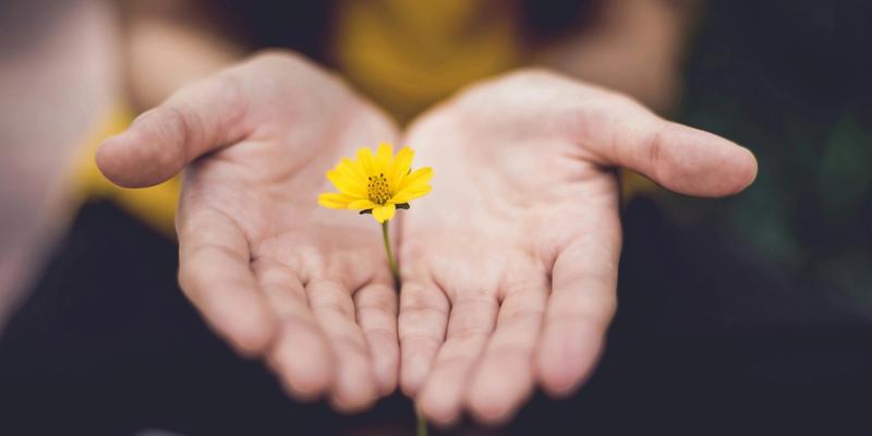 Peer Parent Advocacy: A New Chapter in Child Protection