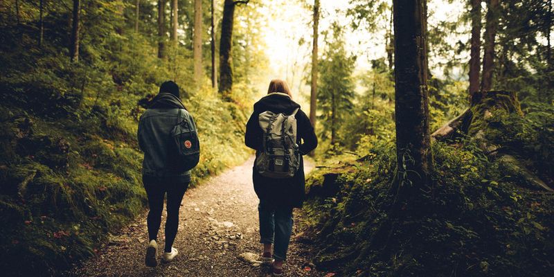 Exploring Walking Therapy in Family Assessments