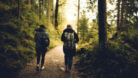 Exploring Walking Therapy in Family Assessments