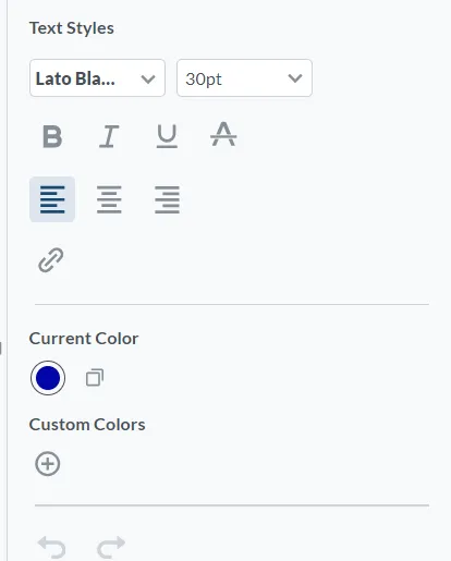 The panel showing styling options when editing text in a PDF