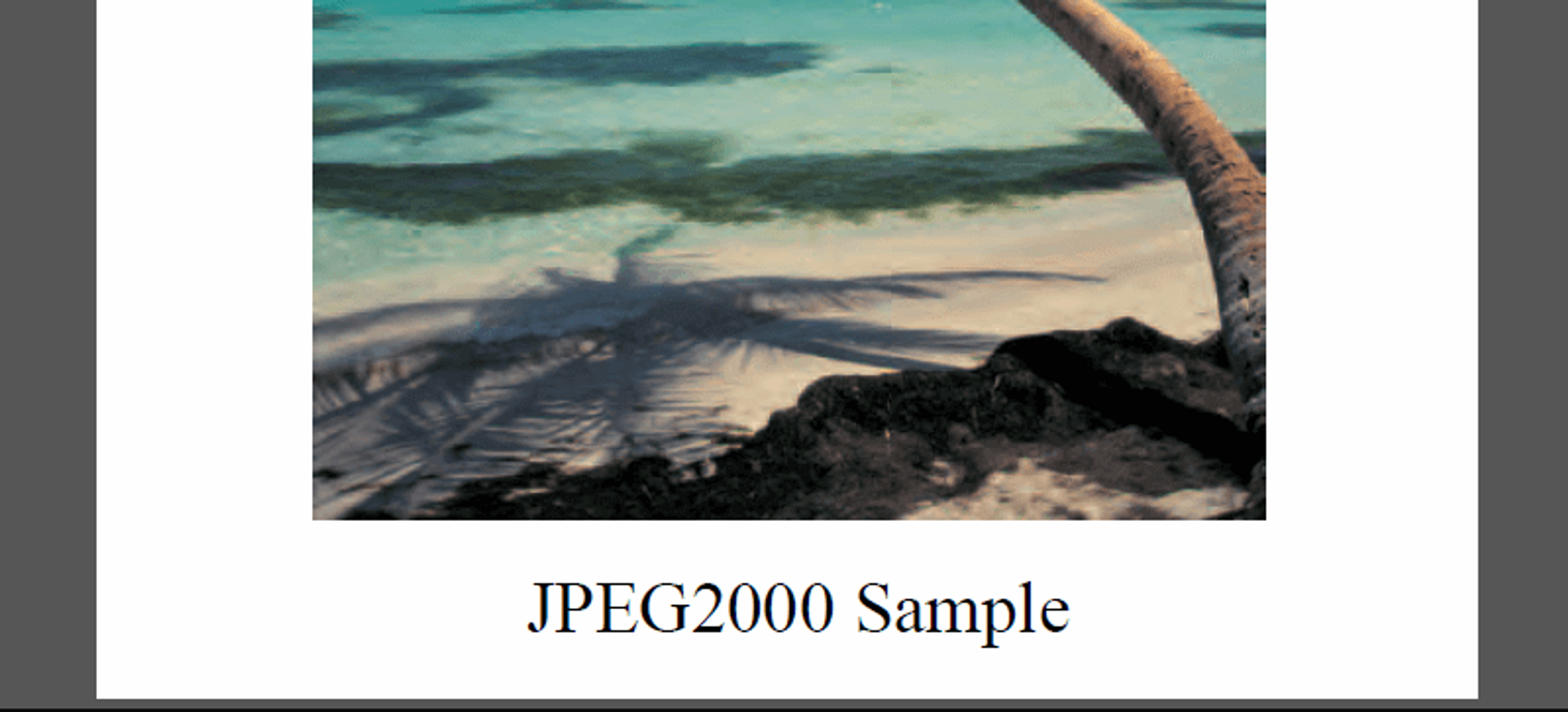 Add other image formats (for example, JPEG2000) and add text to the document