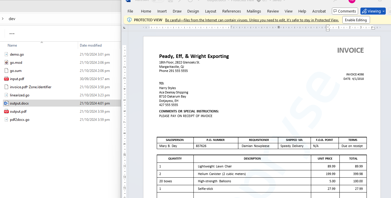 A view of the DOCX file created from the PDF.