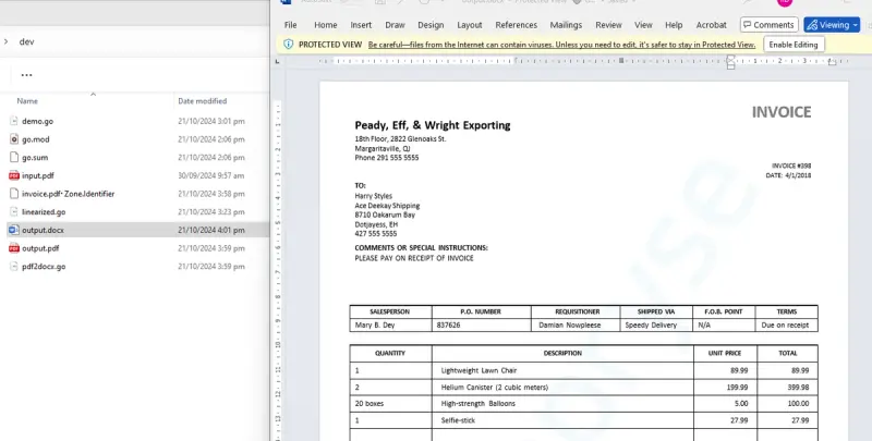 A view of the DOCX file created from the PDF.