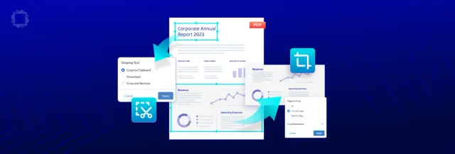 WebViewer Cropping and Snipping – the Understated Tools