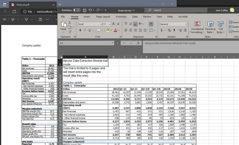 Financial data successfully extracted from a PDF to an Excel file