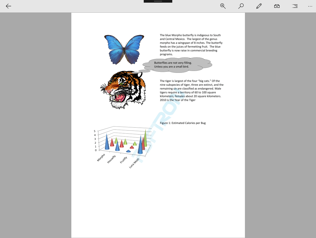 Image of streaming a file using an Office PDF SDK