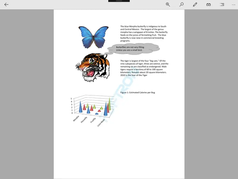 Image of streaming a file using an Office PDF SDK