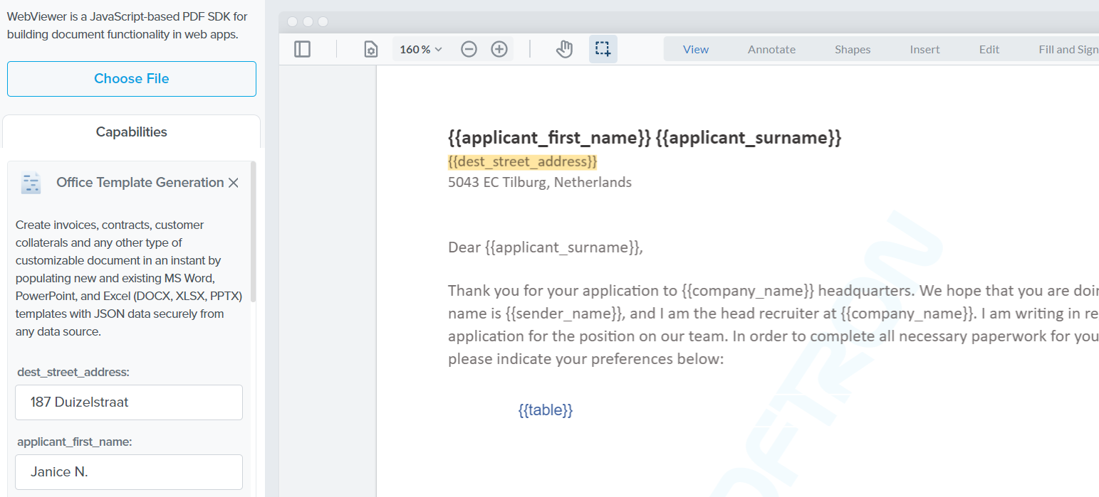 Automated replacement of placeholder data in an Office template