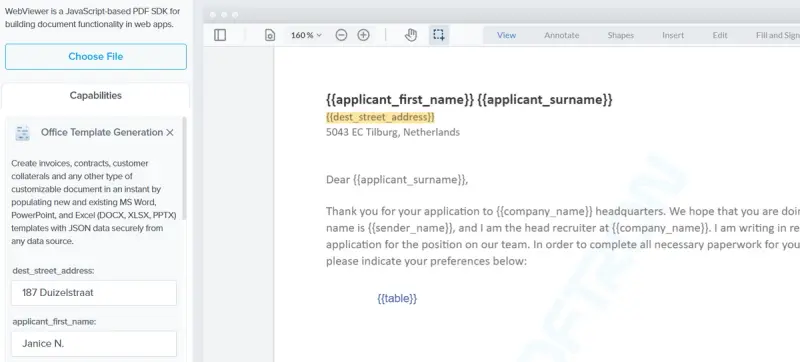 Automated replacement of placeholder data in an Office template