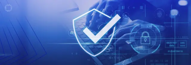 Regarding Cross-Site Scripting (XSS) Vulnerabilities in WebViewer SDK