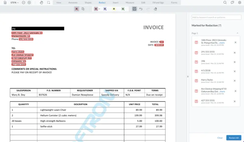 Image of WebViewer focused view of redactions