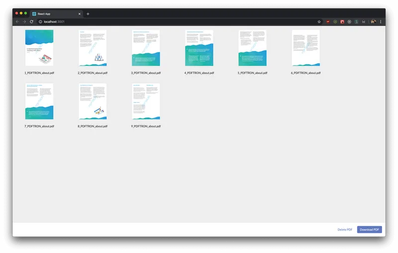 Import and Split the PDF