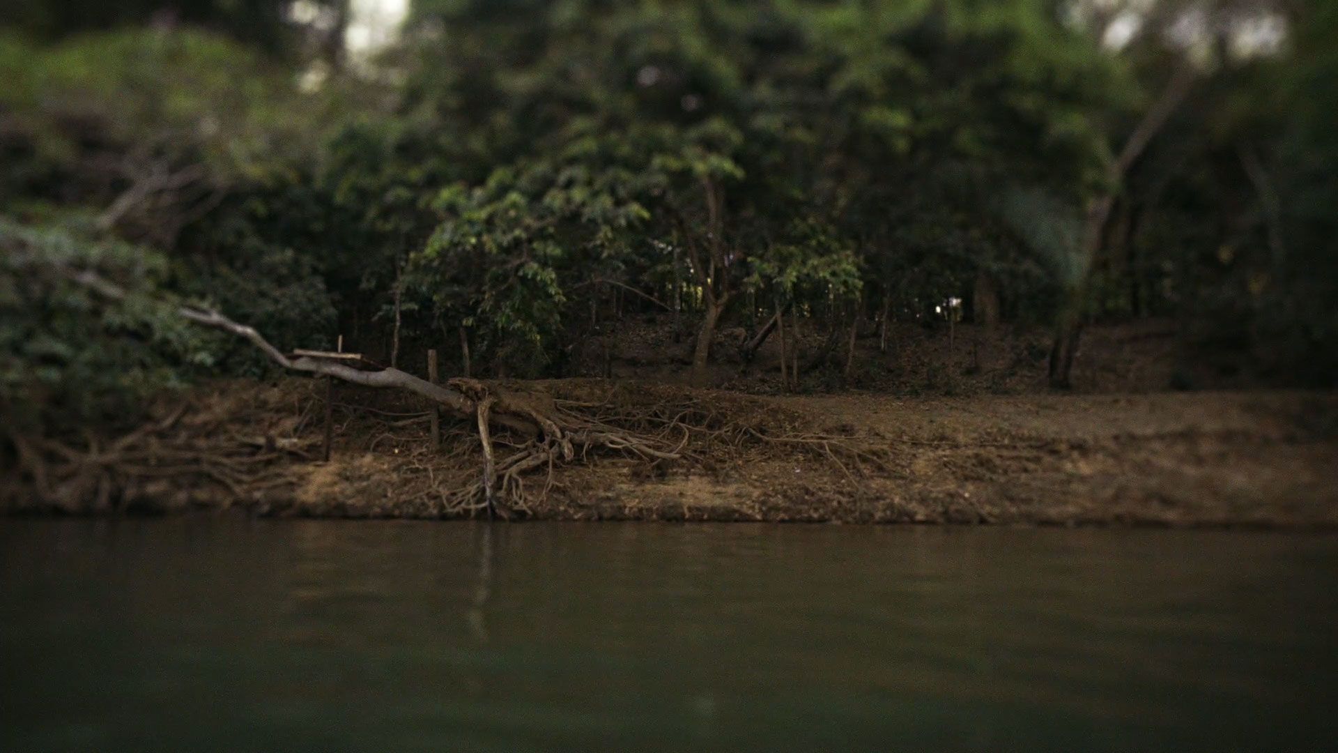 Image not available