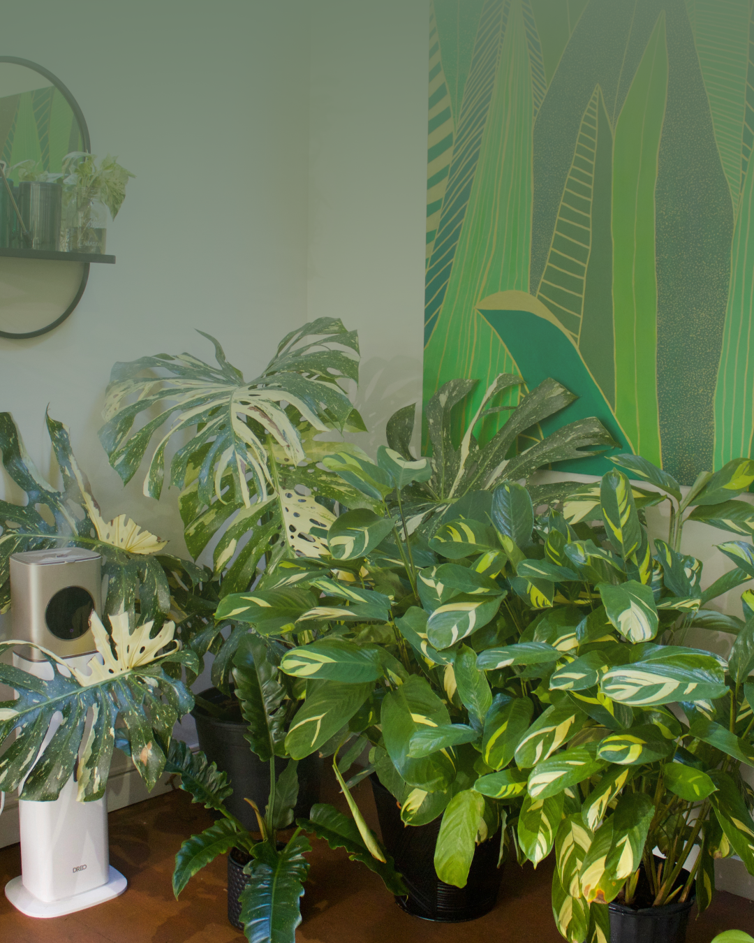 Complete Winter Plant Care Guide for Columbus