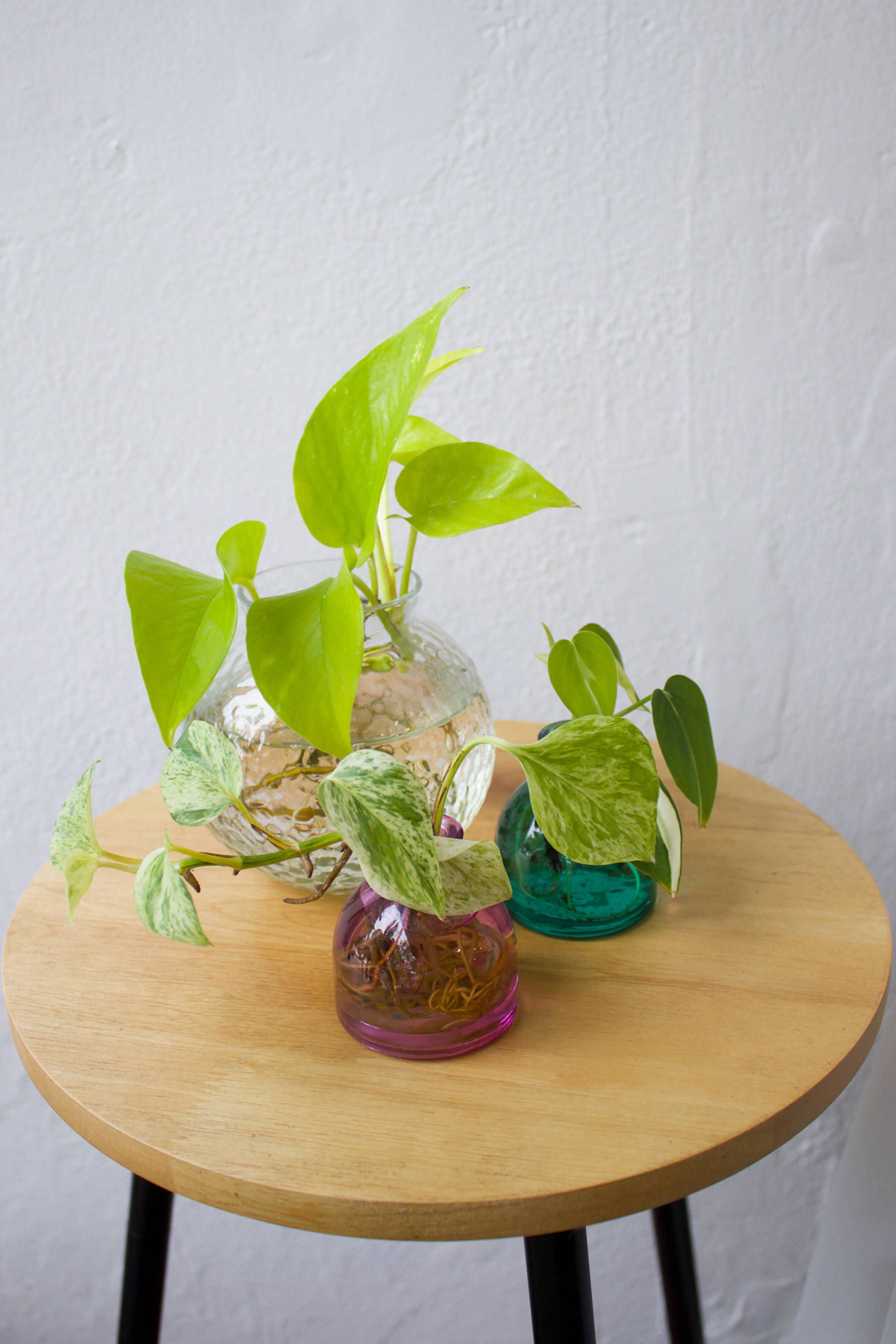 Propagation 101