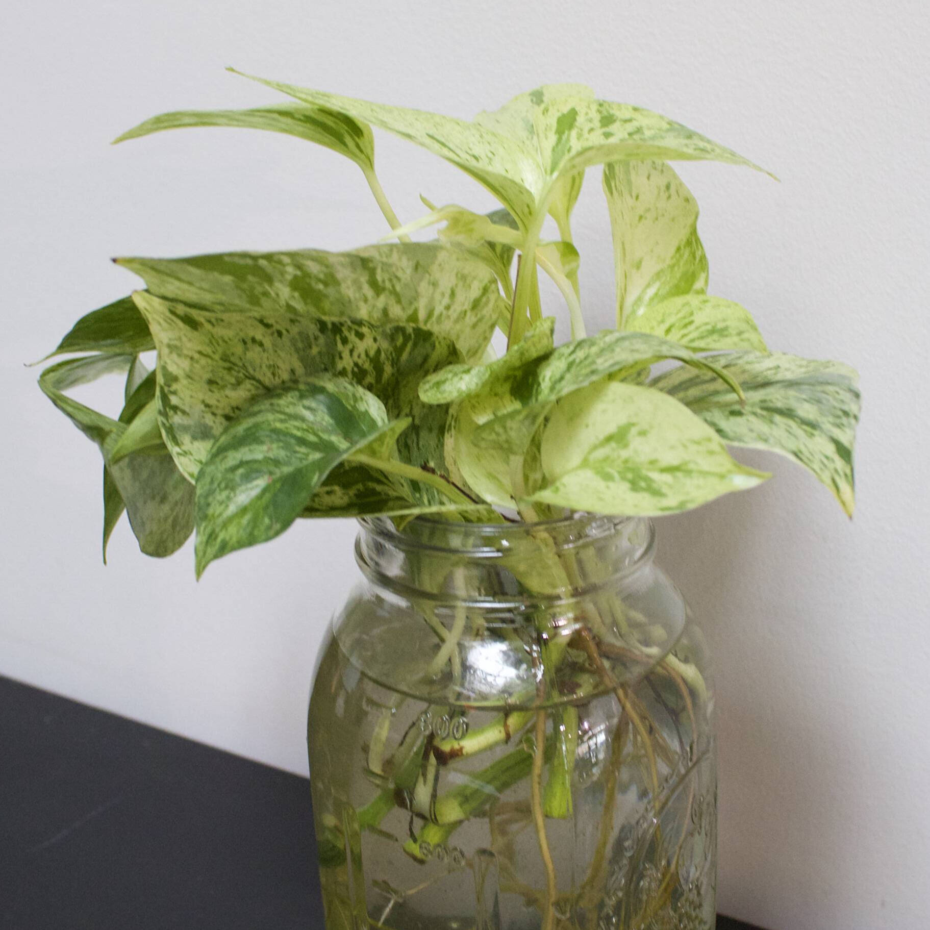 Common Propagation Mistakes (And How to Fix Them)