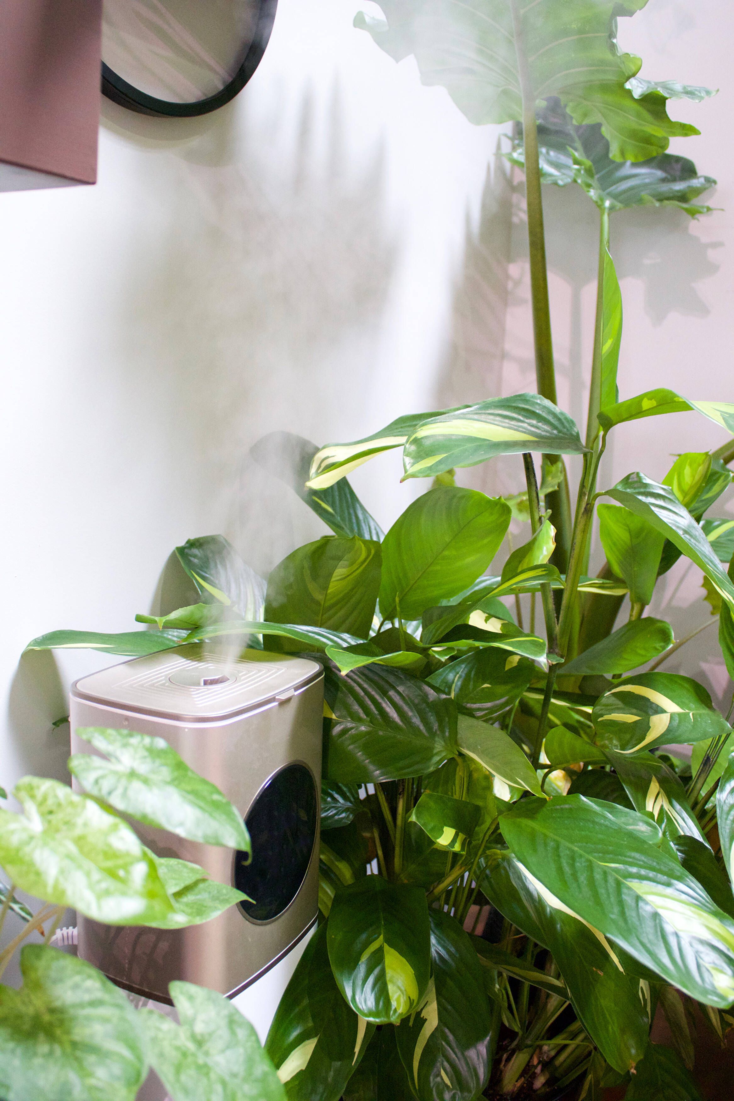 Humidity 101
