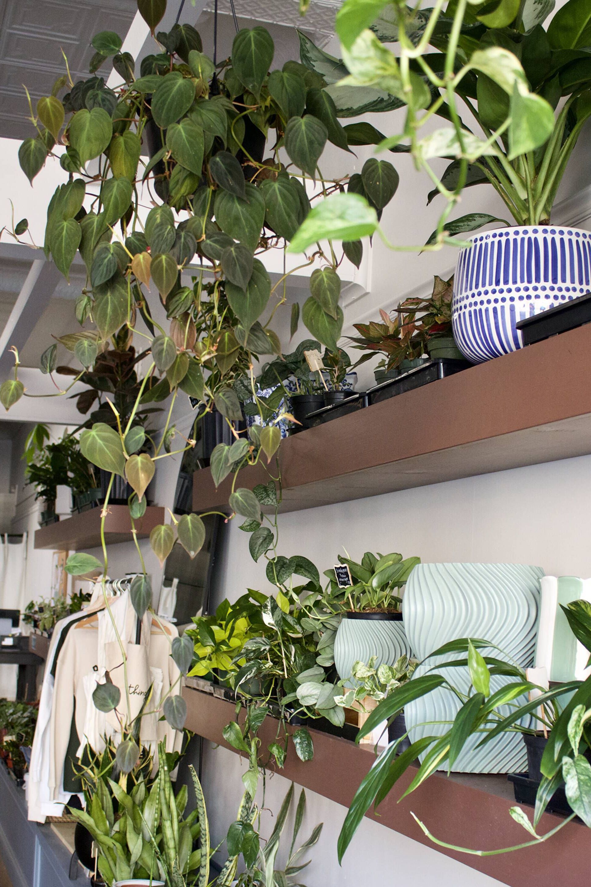 What Columbus Plant Parents Should Do the Last Week of April