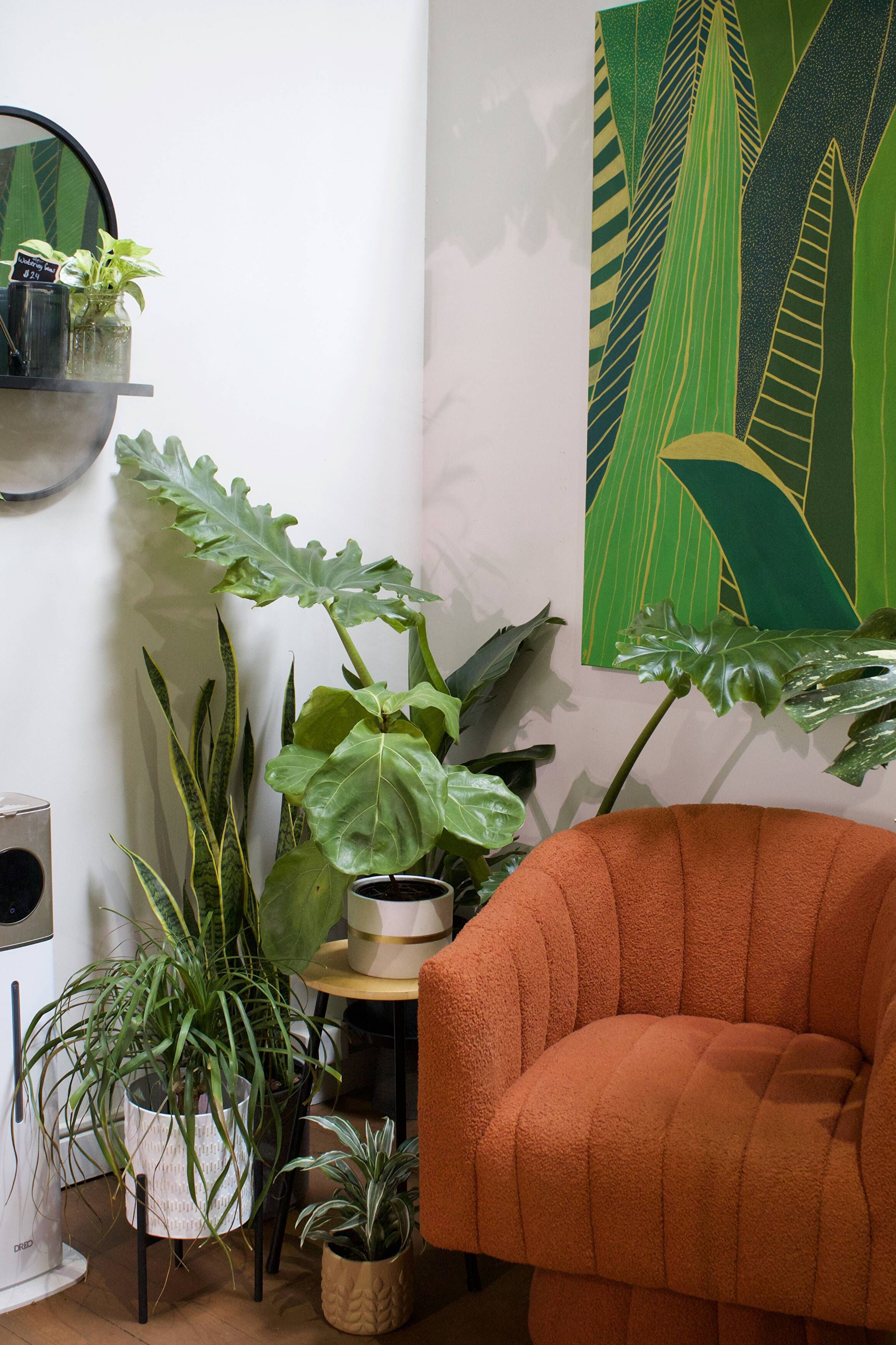 Spring Jungle Expansion: Your 4-Week Blueprint for Columbus Plant Parents