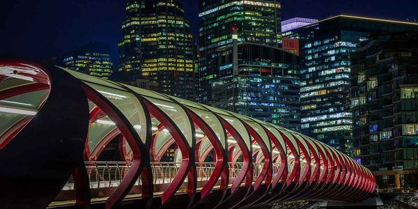 Business Law Basics: Why Your Lawyer Recommends a Holding Company and Separate Share Classes