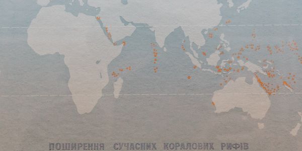 Cross-Border M&A: Key Legal Considerations for Canada-U.S. Business Transactions