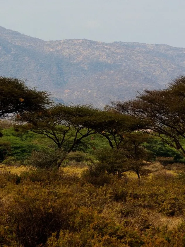Kenyan safari landscape, featured on the Discover Kenya's Untamed North homepage card