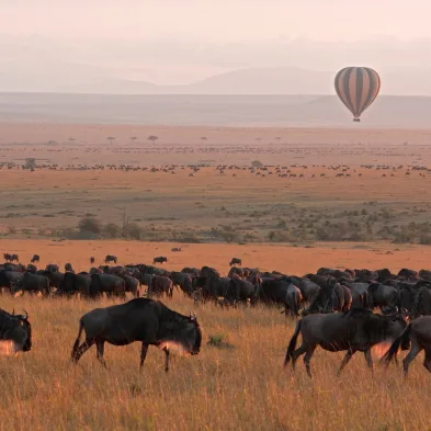 Hot air balloon rising at sunrise over the wildlife-filled plains of the Masai Mara Kenya