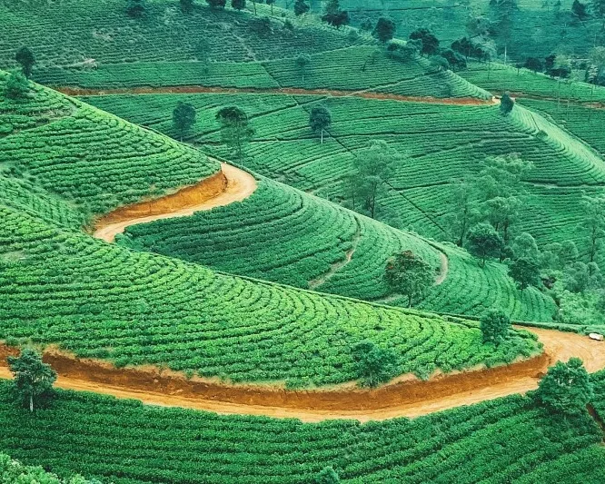 Great Wall of Sr Lanka