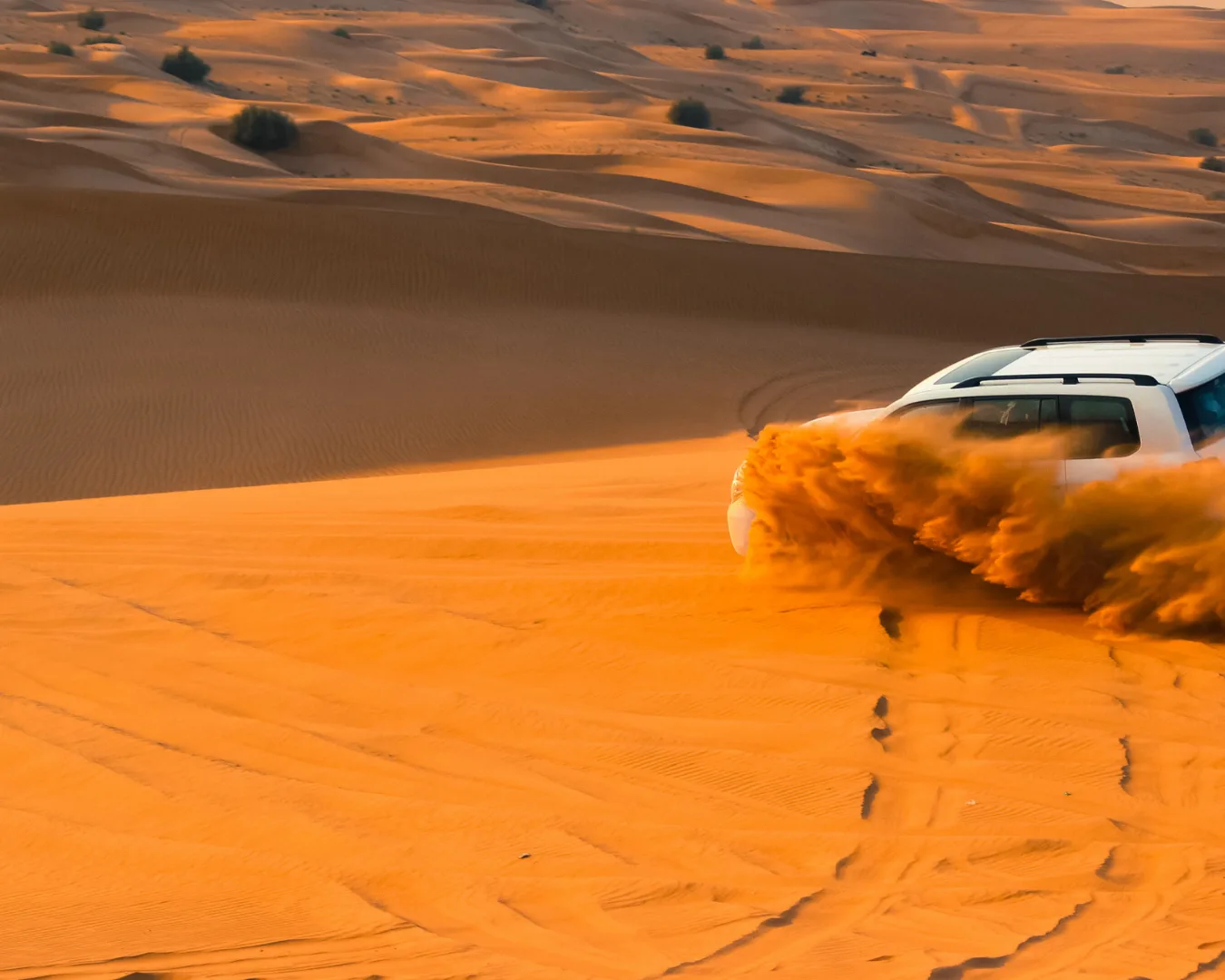 SUV kicking up sand while dune bashing during a desert safari.