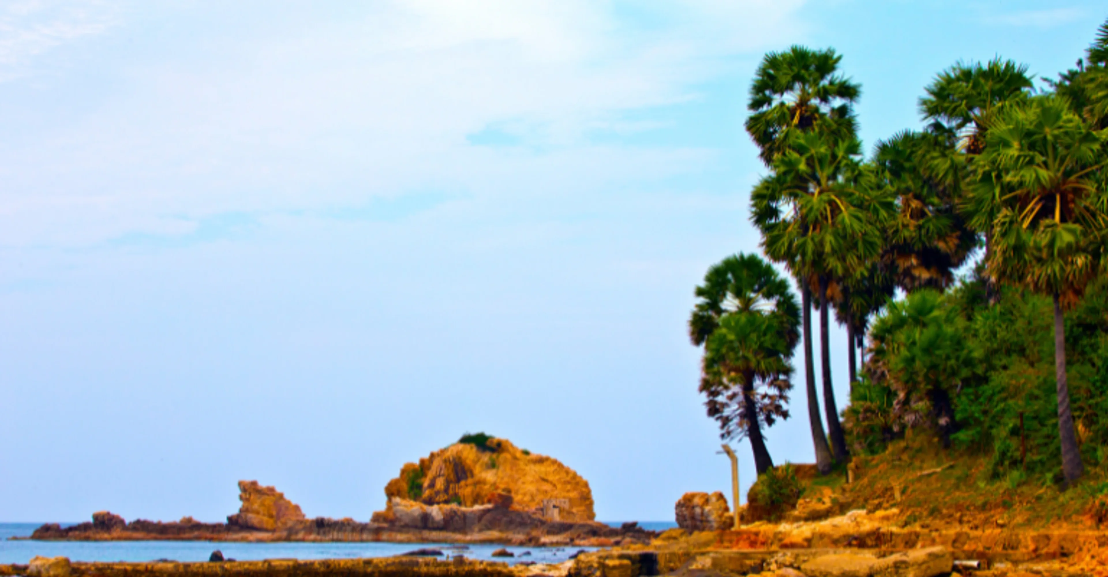 A rocky palm-fringed coastline along Sri Lanka's east coast near Trincomalee