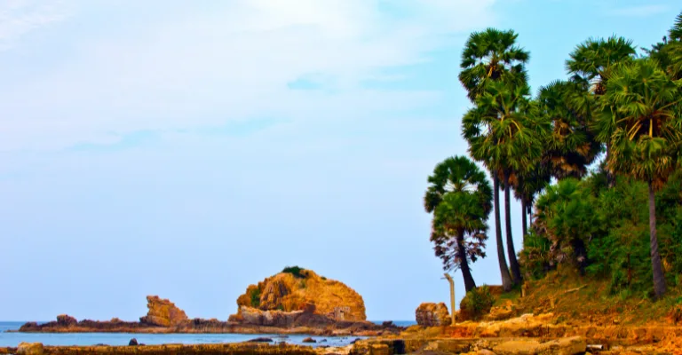 A rocky palm-fringed coastline along Sri Lanka's east coast near Trincomalee