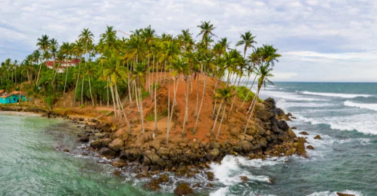 A palm-covered coastal headland along Sri Lanka's south coast near Mirissa