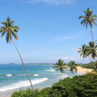 Bentota beach and river safari experiences on Sri Lanka's southern coast