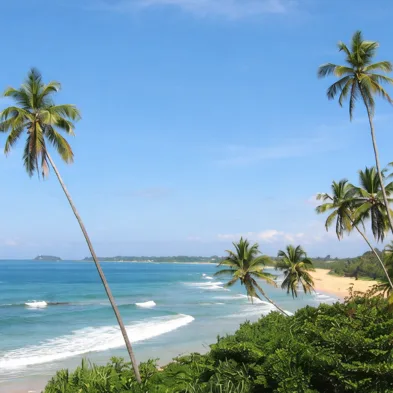 Bentota beach and river safari experiences on Sri Lanka's southern coast