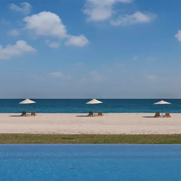 Sir Bani Yas Island wildlife safari with desert animals and natural landscape