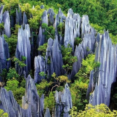 Private guided tour of the UNESCO-listed Stone Forest rock formations near Kunming China