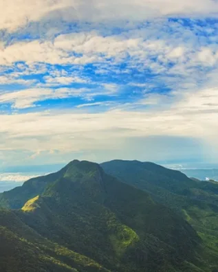 Discover the Island’s Finest